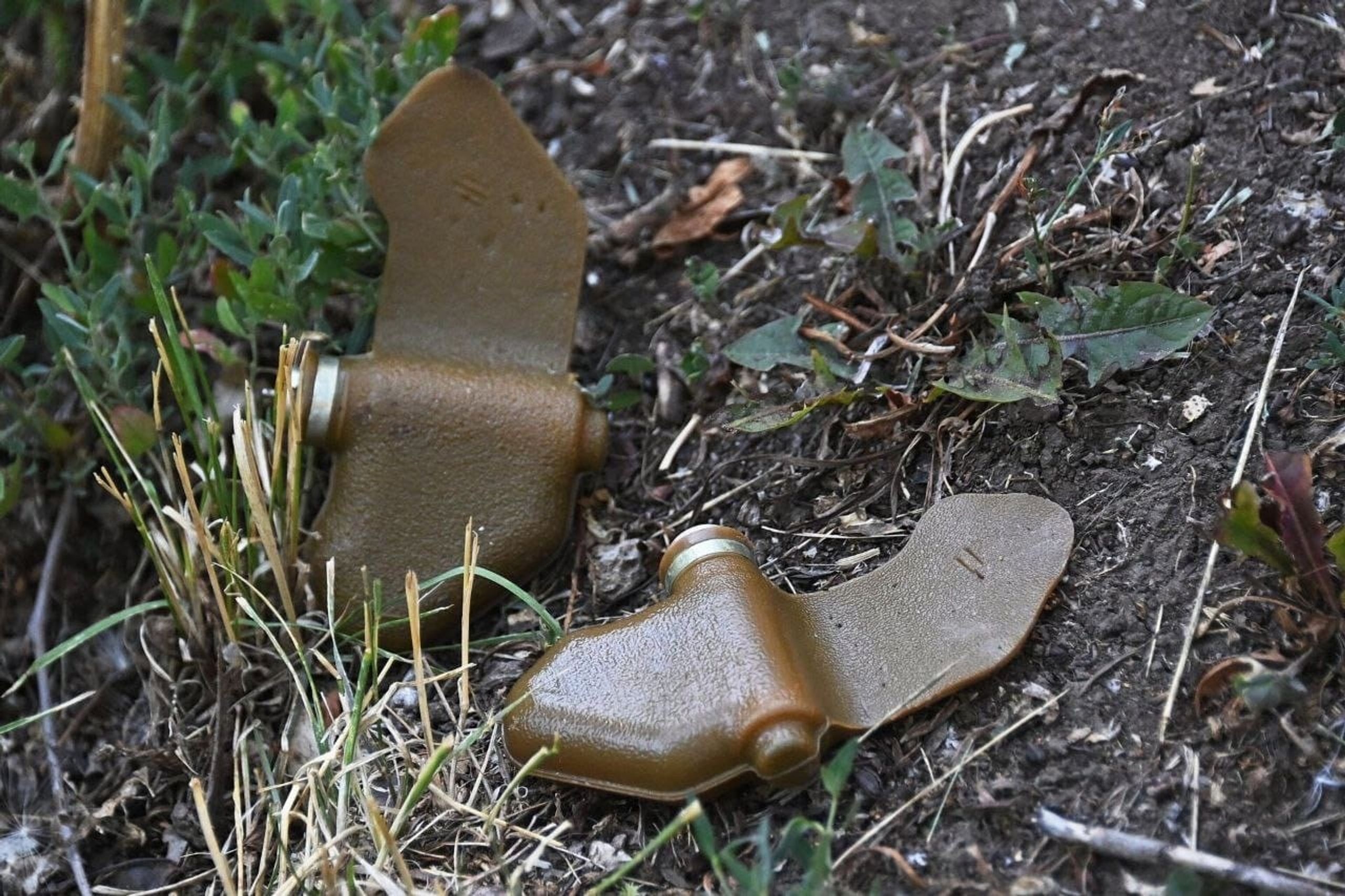 Anti-personnel blast mine (PFM-1) also known as “Petal” 