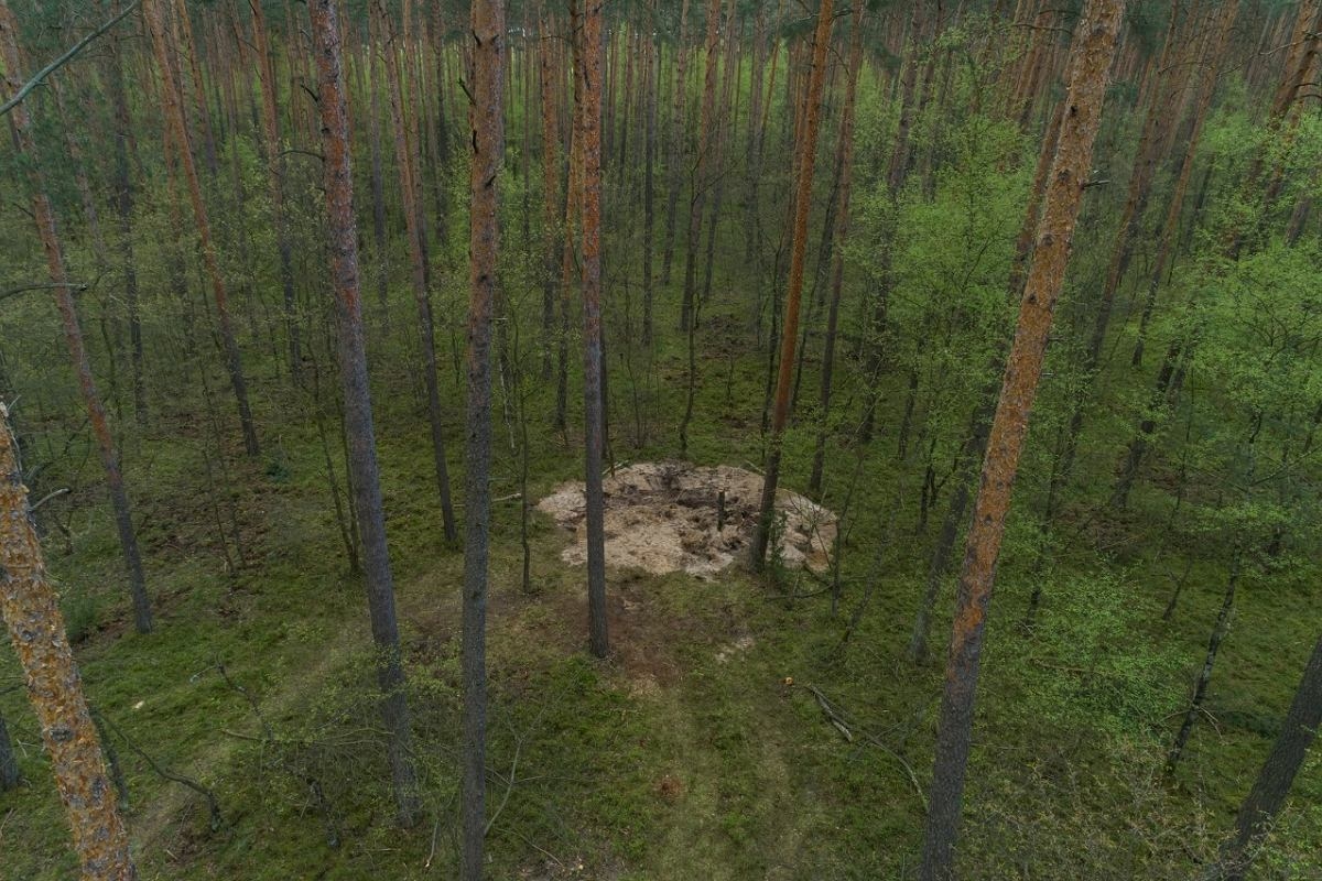 Миниатюра 4