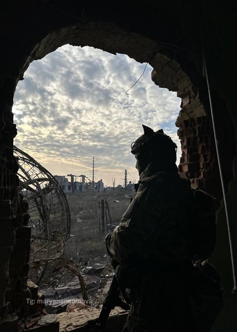 Изображение из галереи