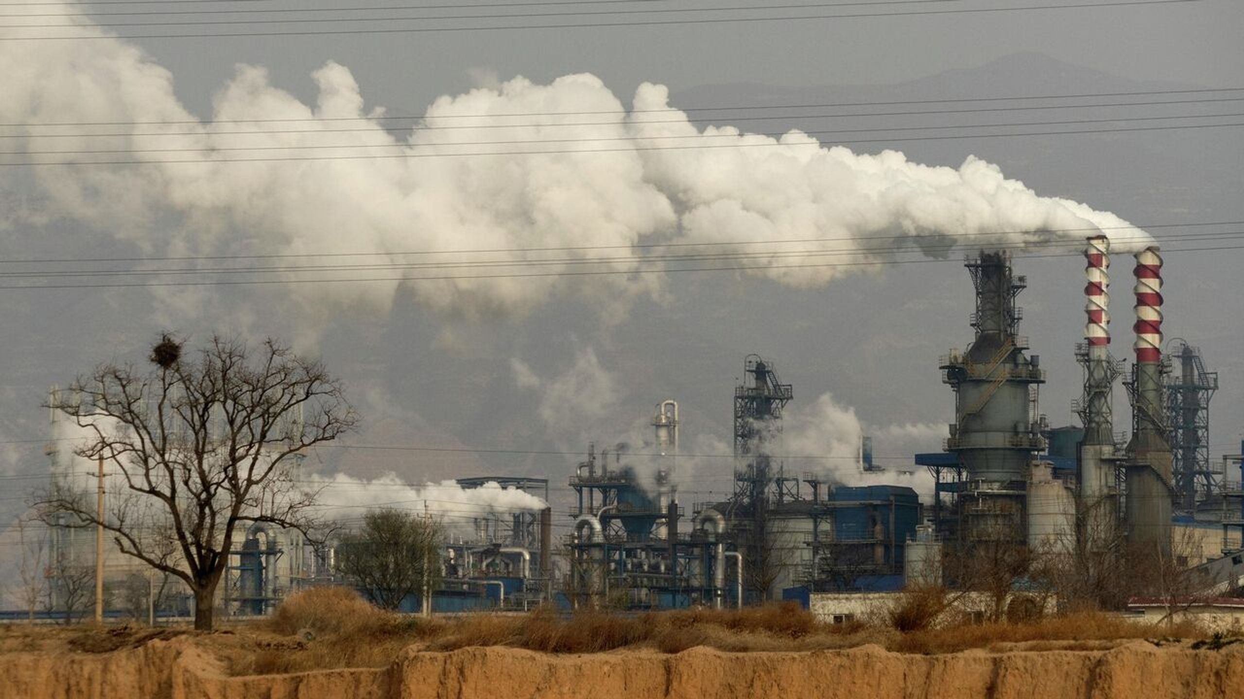 From 2015 to 2024, China's emissions of greenhouse gases increased by 20%