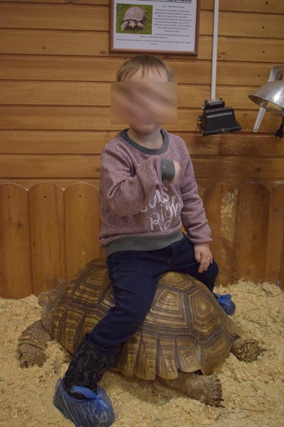 Иллюстрация к материалу