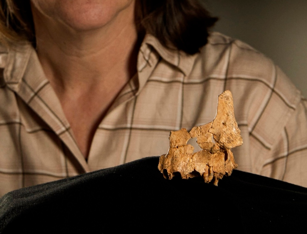 Фото: Catalan Institute of Human Paleoecology and Social Evolution