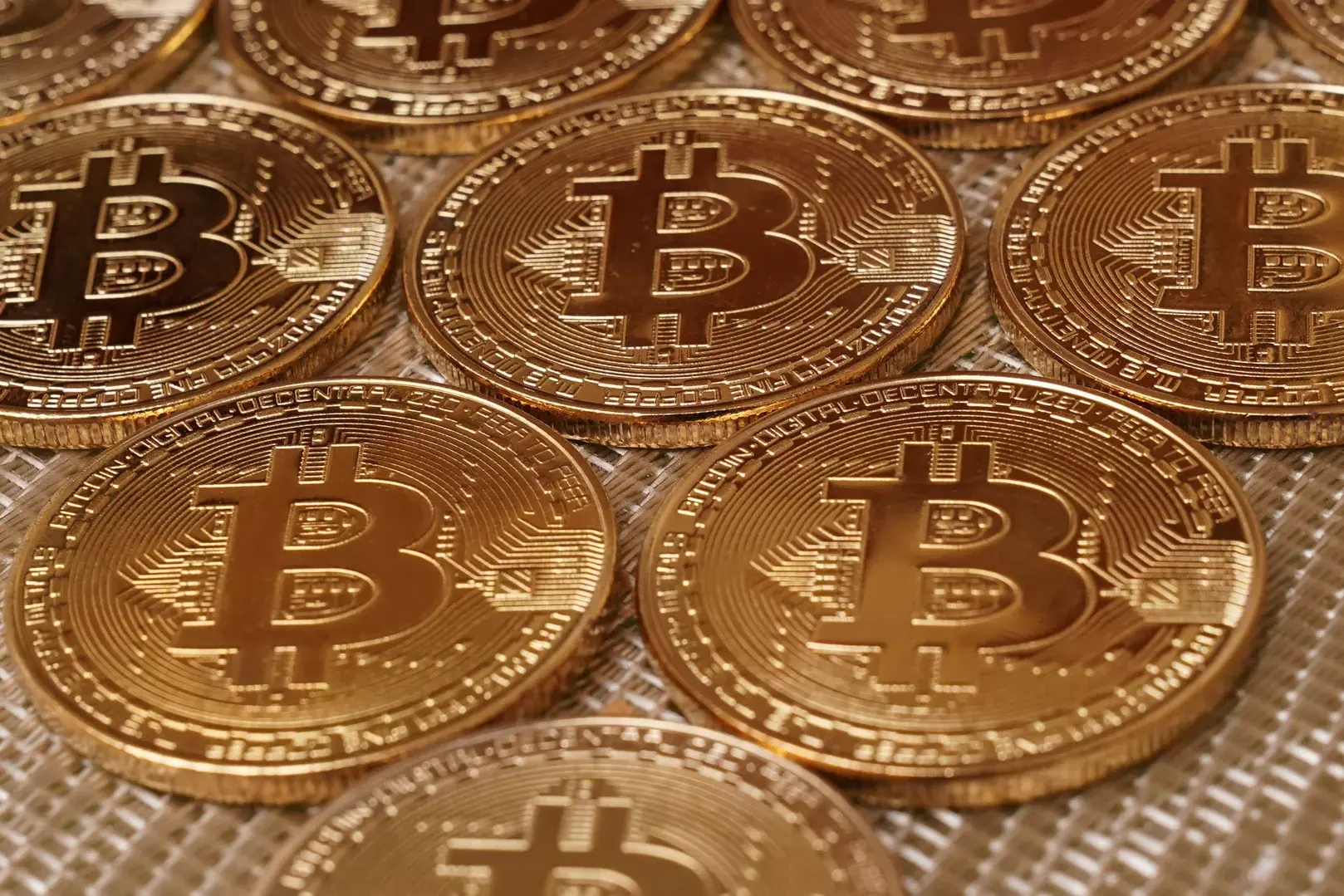 Фото: РИА Новости / Владимир Трефилов