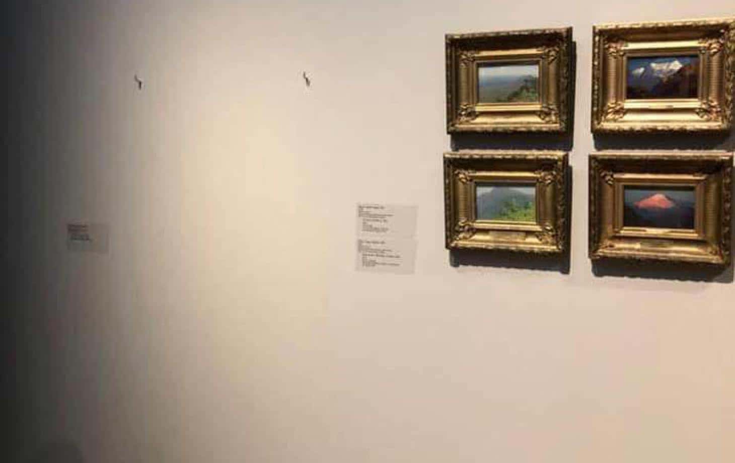 Пейзажи после кражи. Как устроен черный арт-рынок в России