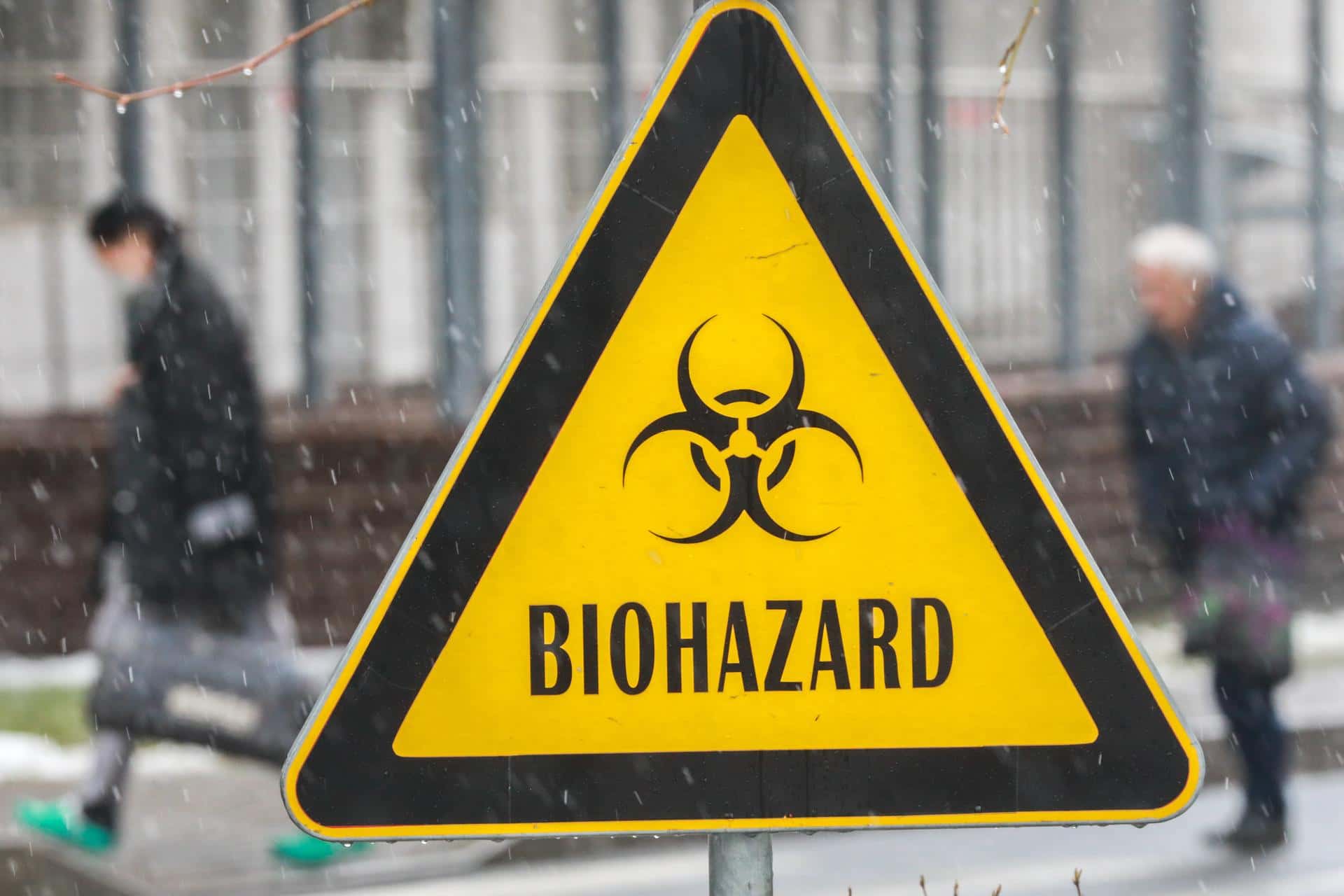 Тайна боевых глистов. Новые доказательства работы над биологическим оружием в Украине оказались не лучше прежних