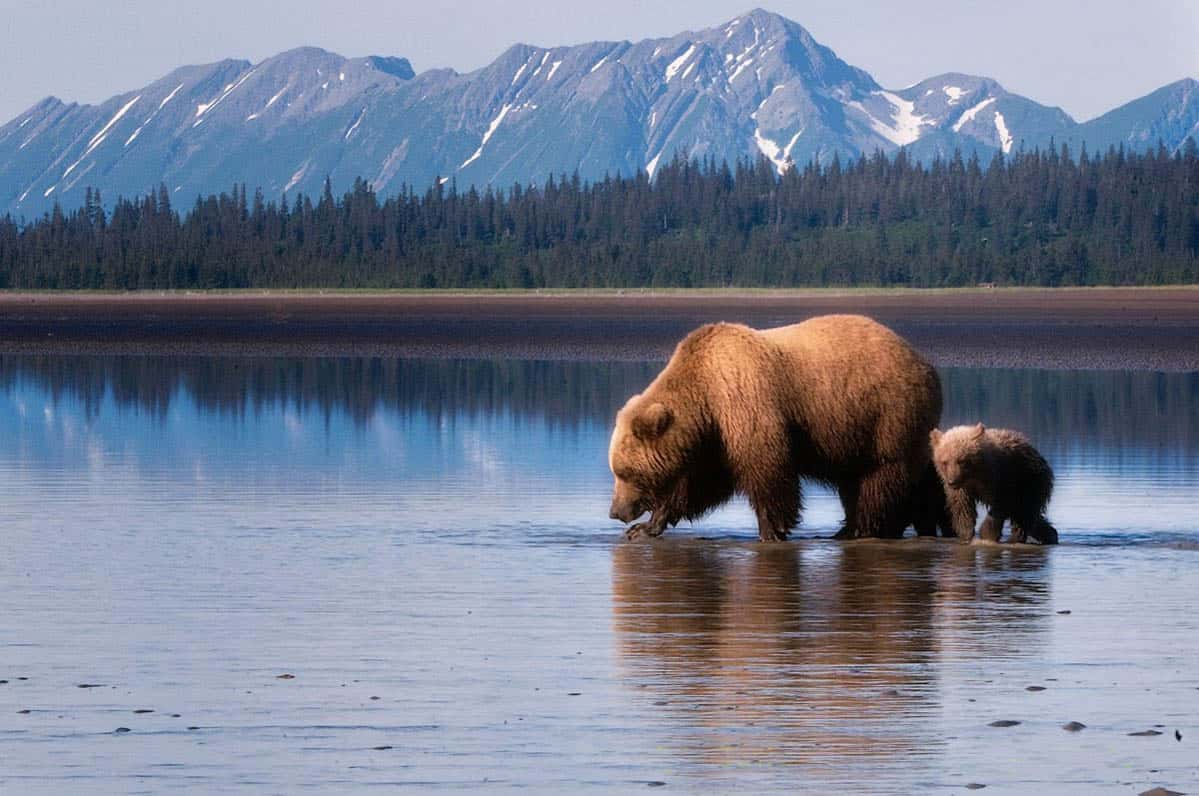 На Аляске задержали россиян, которые приплыли туда на лодке, спасаясь от мобилизации