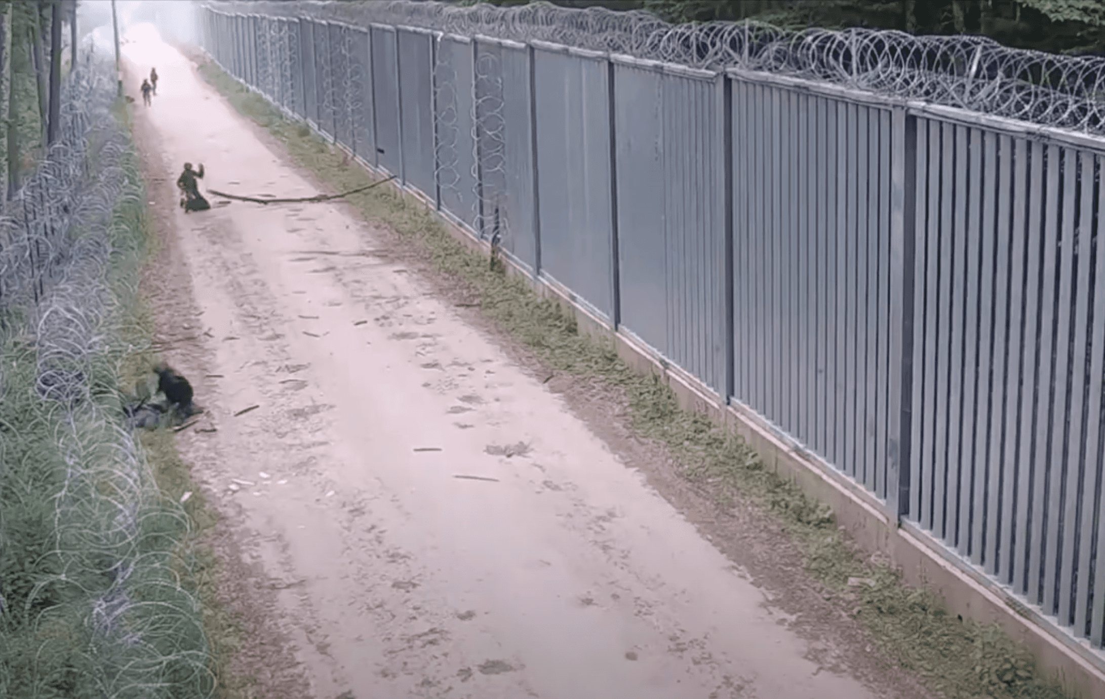 В Польше погиб пограничник, которого на границе с Беларусью ударил ножом мигрант 