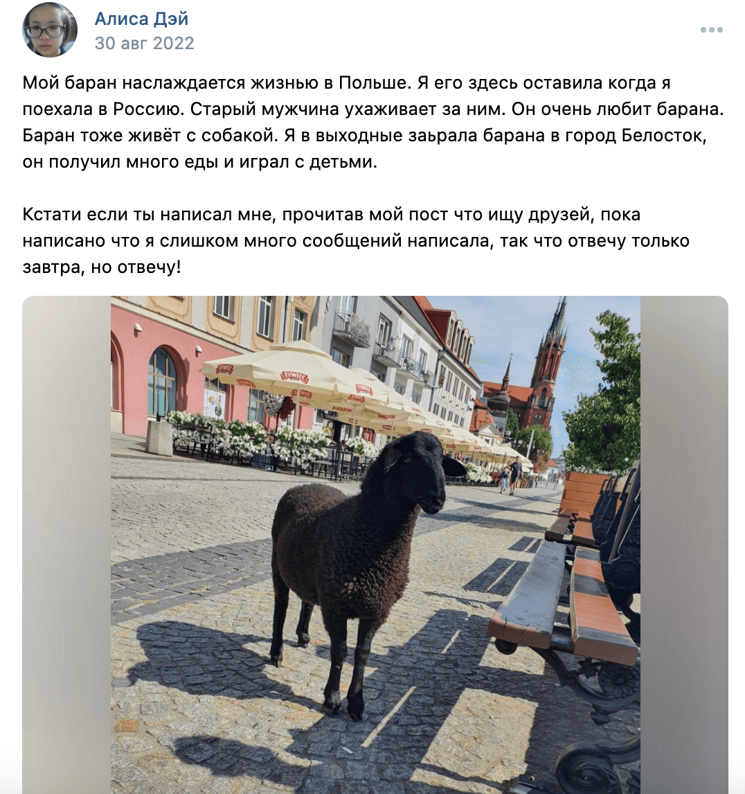 Изображение из галереи