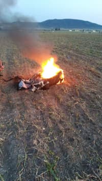 Миниатюра 2