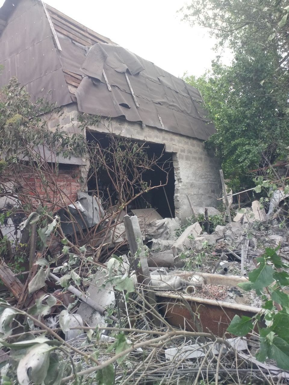 Изображение из галереи