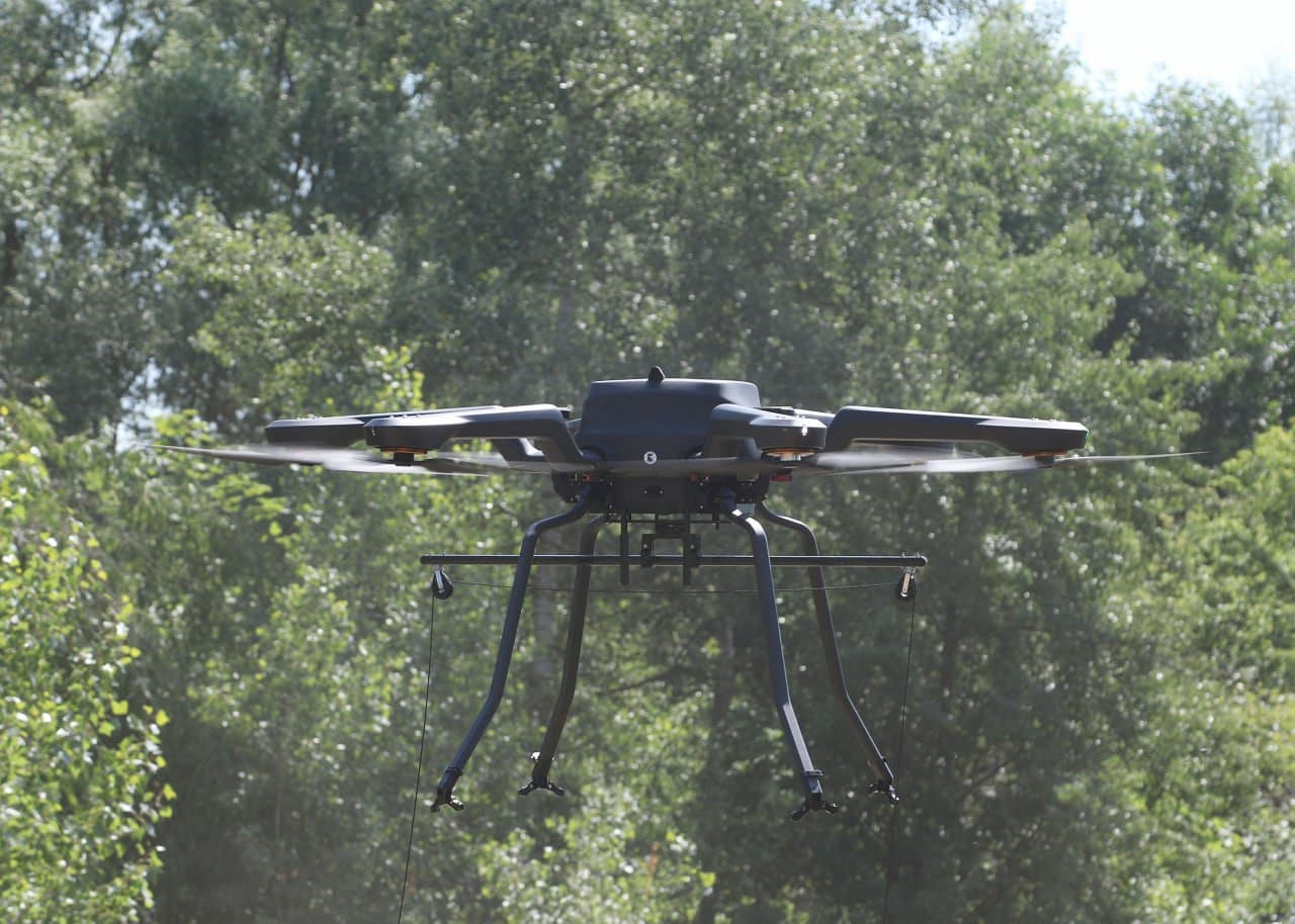 Изображение из галереи