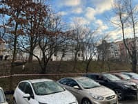 Миниатюра 5