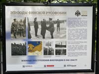 Миниатюра 13