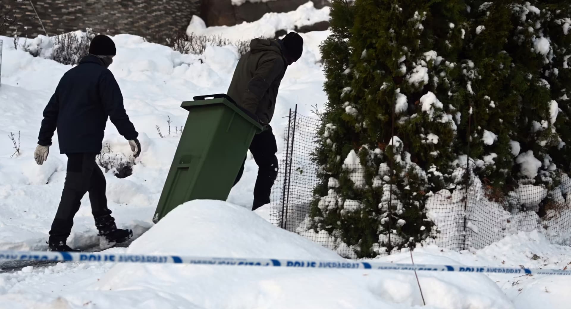 Изображение из галереи