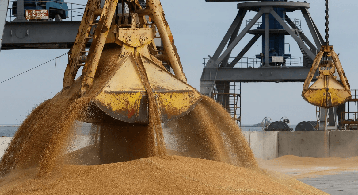 Семья близкого к Кадырову силовика торгует зерном на оккупированных территориях Украины — расследование «Важных историй»