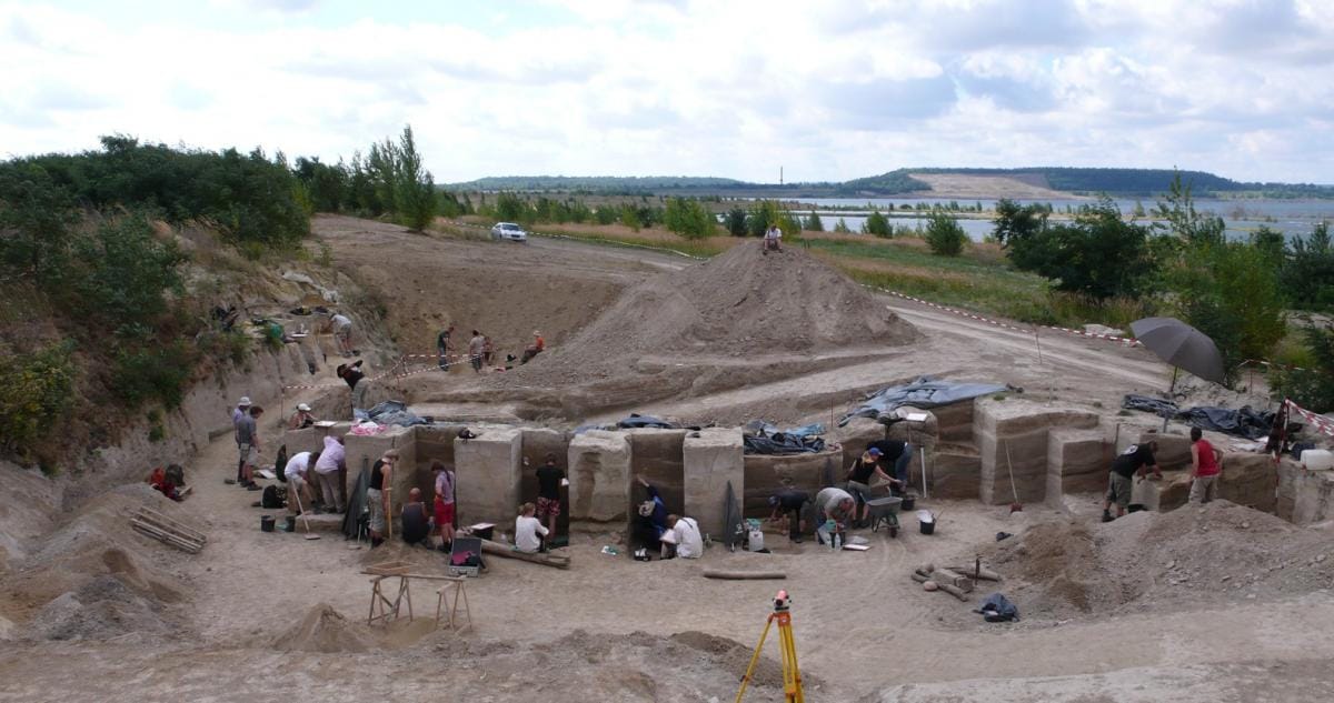 Ученые обнаружили «жировой завод» неандертальцев — они оказались гораздо более развитым видом, чем предполагалось ранее
