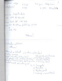 S. Hodonovičs wrote the received instructions on a piece of paper, which he later lost. It turned out to be a big mistake