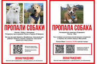 “Dogs missing. Ruble and Economy. Last seen on February 24, when Putin invaded Ukraine. Without them, you get poverty, unemployment, soaring prices, shortages of drugs, electronics, food, and manifold increases of interest rates. Tell your deputy you don’t need war. Ask them to oppose it. Reward guaranteed! Please spread the word.” “Dog missing. Answers to the name of ‘Peace’. Last seen on February 23. Putin took him away when his troops invaded Ukraine. You can bring Peace back home. Looking for Peace: March 6, 15:00, city center. Sign the petitions to stop the war and impeach Vladimir Putin. Reward guaranteed! Please spread the word.”