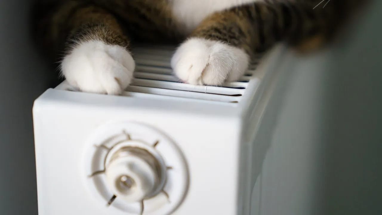 МЭА предложило европейцам снизить температуру в домах на два градуса, чтобы пережить зиму без российского газа