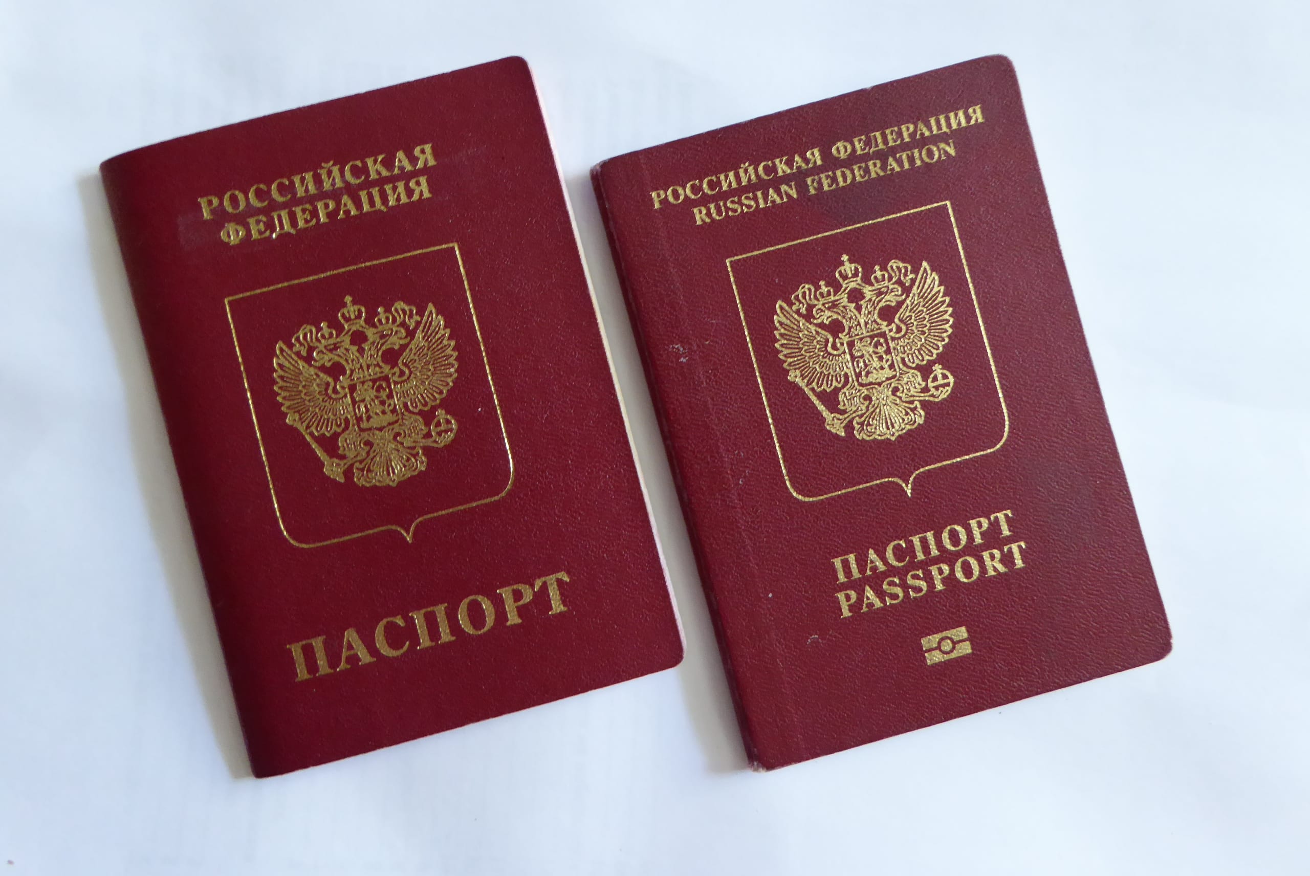 Медиков МВД в Ростовской области обязали «сдать на хранение» загранпаспорта – «Осторожно, новости» 