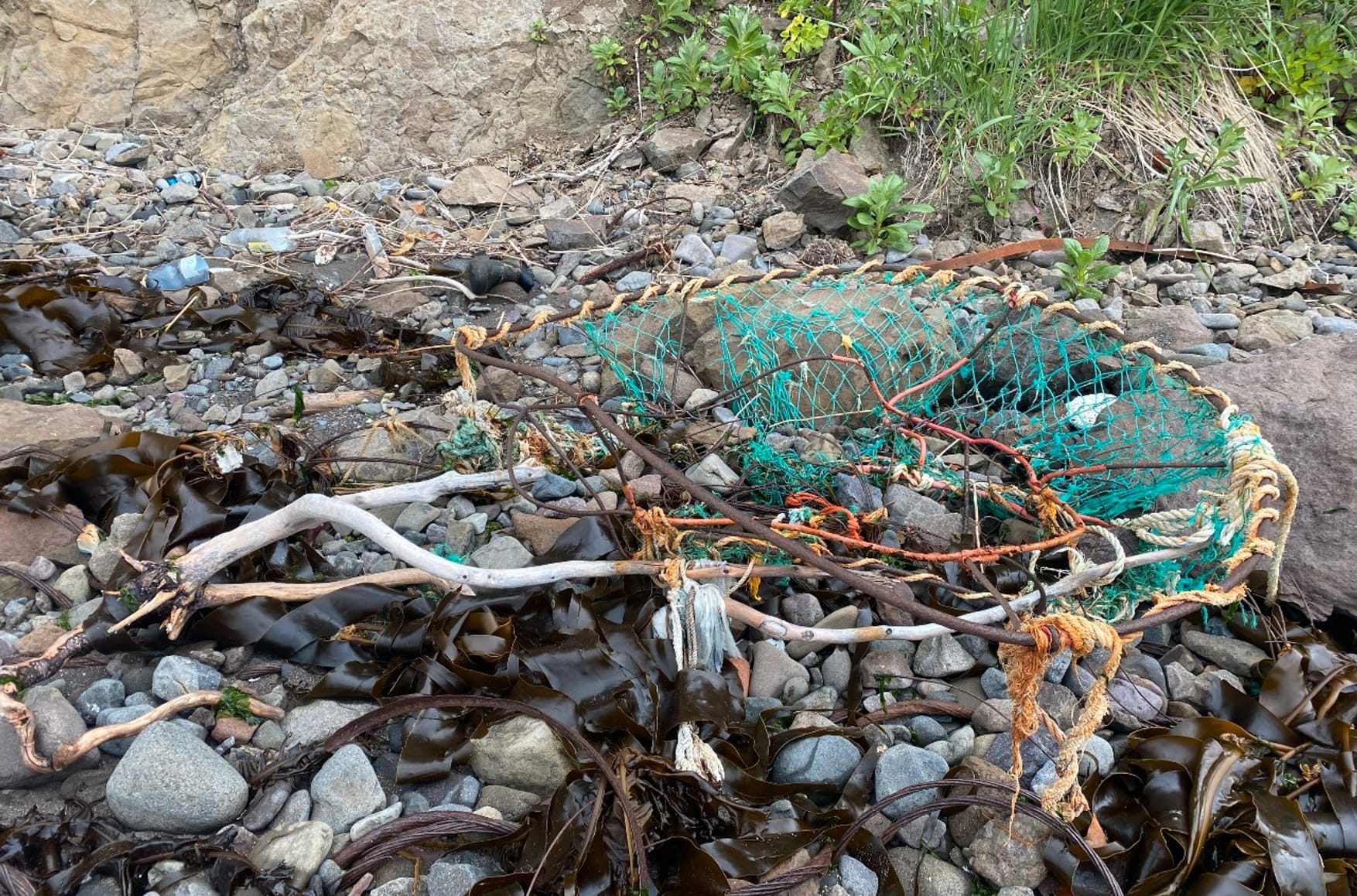 Catch your fish and eat it too: Inside Kamchatka’s poaching empire