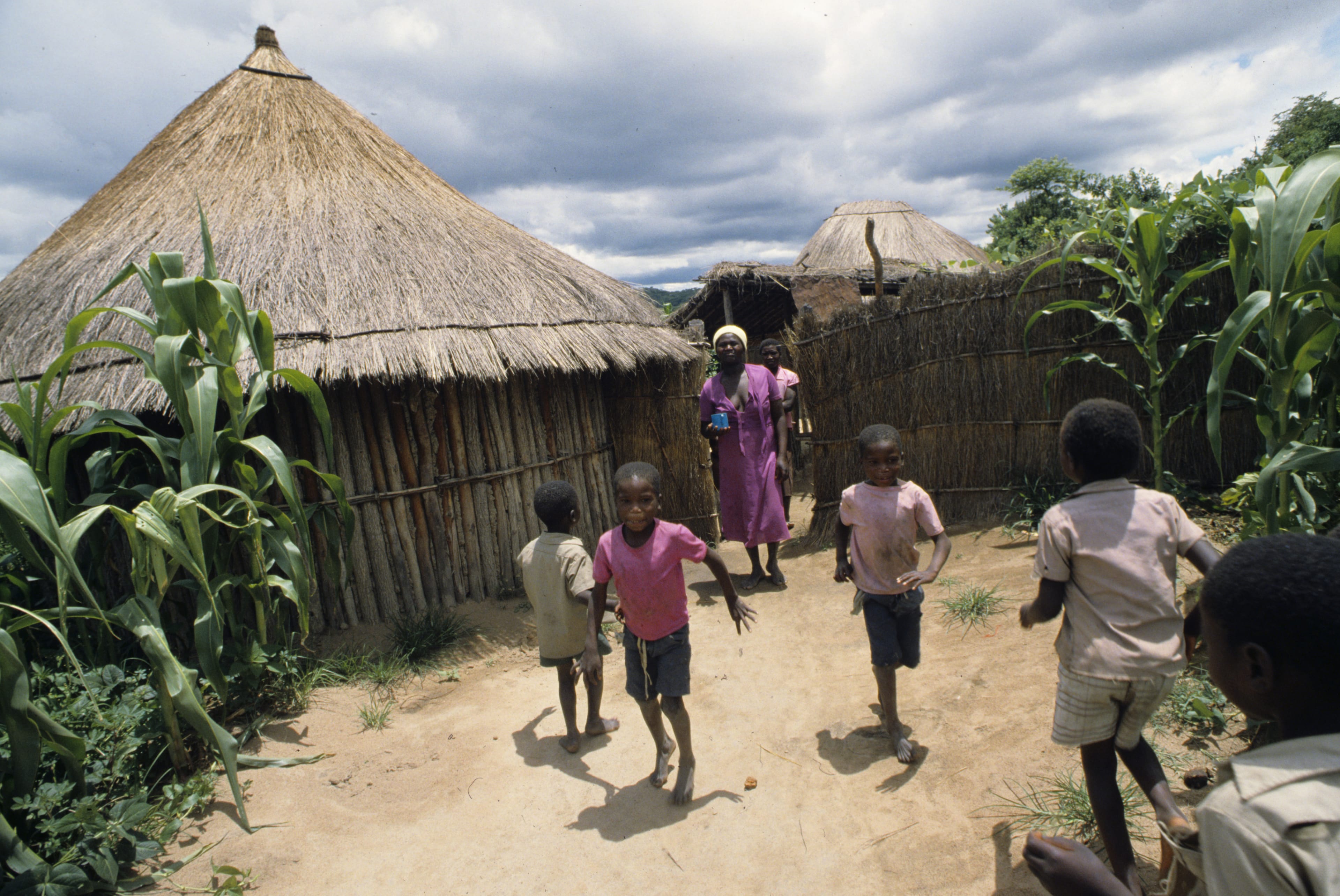 ООН: Число голодающих в мире может достичь рекордных 363 млн человек из-за конфликта в Иране