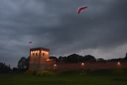 Миниатюра 7