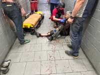 Миниатюра 7