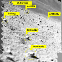 Миниатюра 4