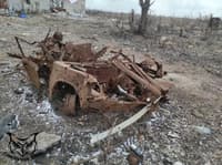 Миниатюра 2