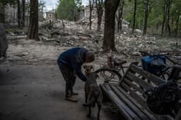 Миниатюра 3