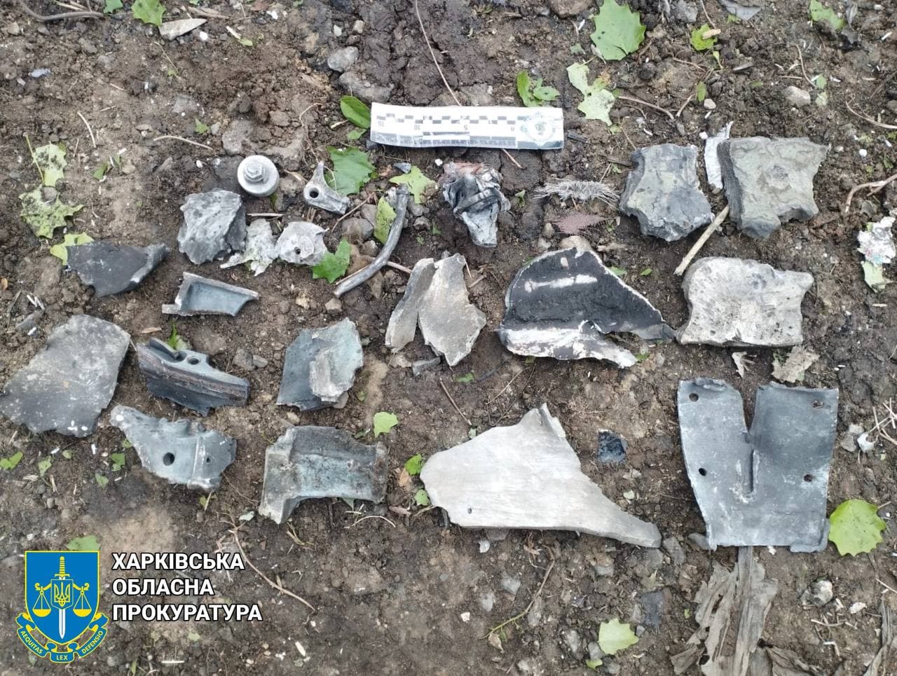 Изображение из галереи