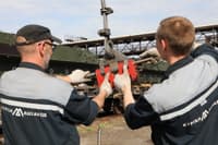 Миниатюра 5