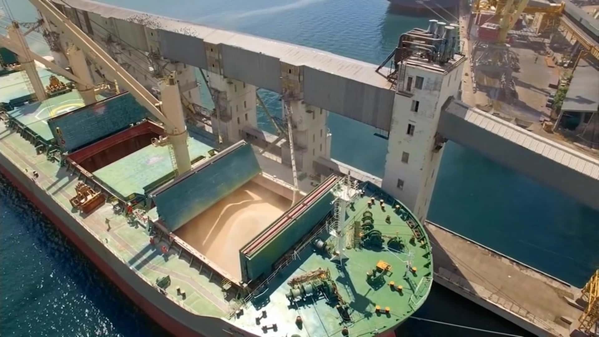 «Угрожая остановить вывоз зерна, Путин хочет добиться прямых переговоров с Украиной» — эксперт об очередном российском зерновом шантаже