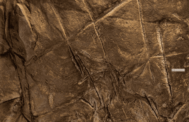 Археологи нашли рисунки в пещере с погребением вымершего вида людей Homo naledi. Раньше они считались неспособными к творчеству