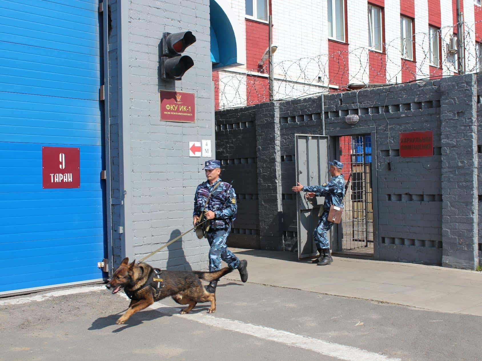 Самой популярной уголовной статьей 2024 года в России стало «публичное оправдание терроризма»