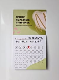 Healthy Habit Tracker. I’ve got this! I promise to myself ... Not to rob peaceful locals.