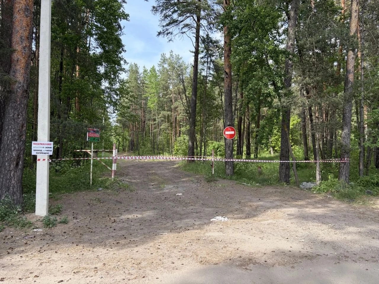 The forest belt between the settlements of Bolshaya Izhora and Lebyazhye was restricted “until further notice” on June 6