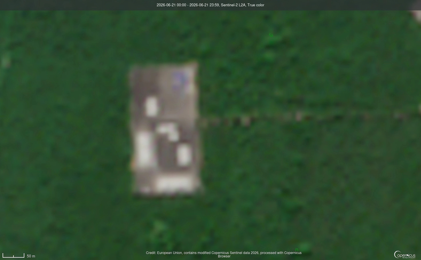Satellite image of the area of the tree-clearing in Kuntsevo