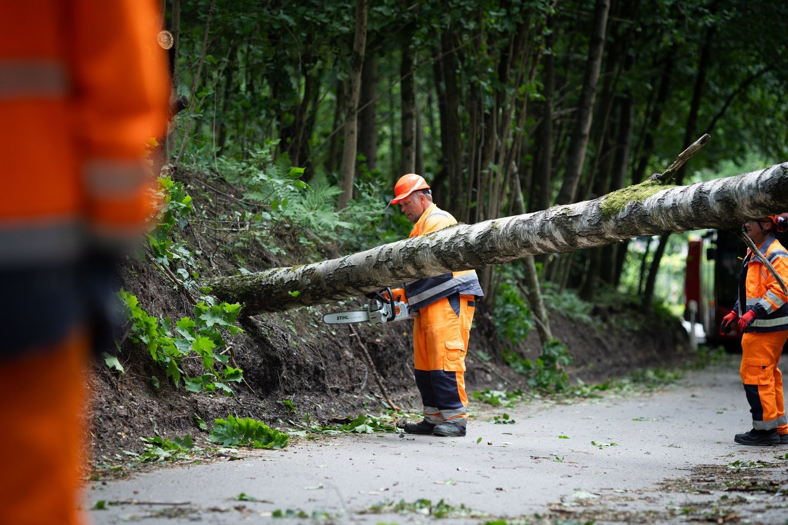 Последствия непогоды в Литве
