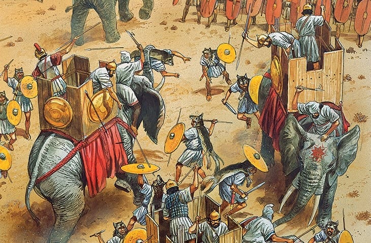 Археологи впервые нашли кость боевого слона времен Пунических войн