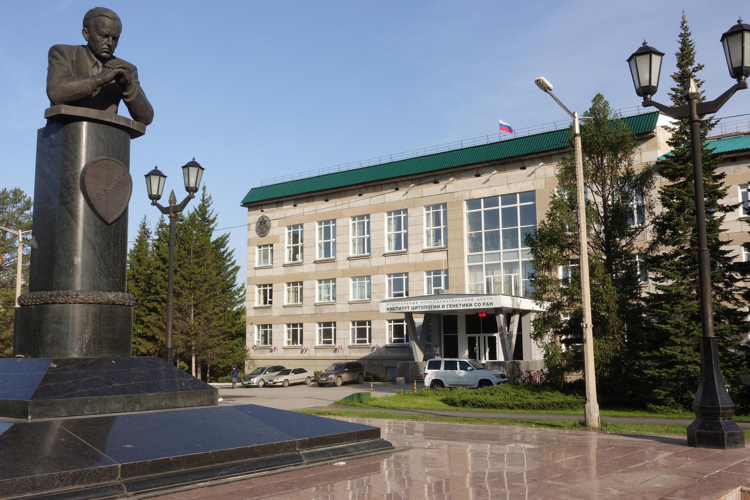 Фото: Институт цитологии и генетики СО РАН