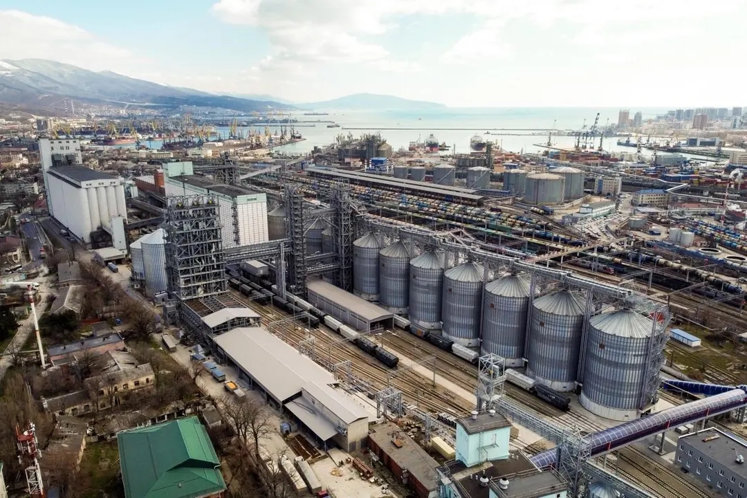 A grain terminal in Novorossiysk. Photo: Associated Press