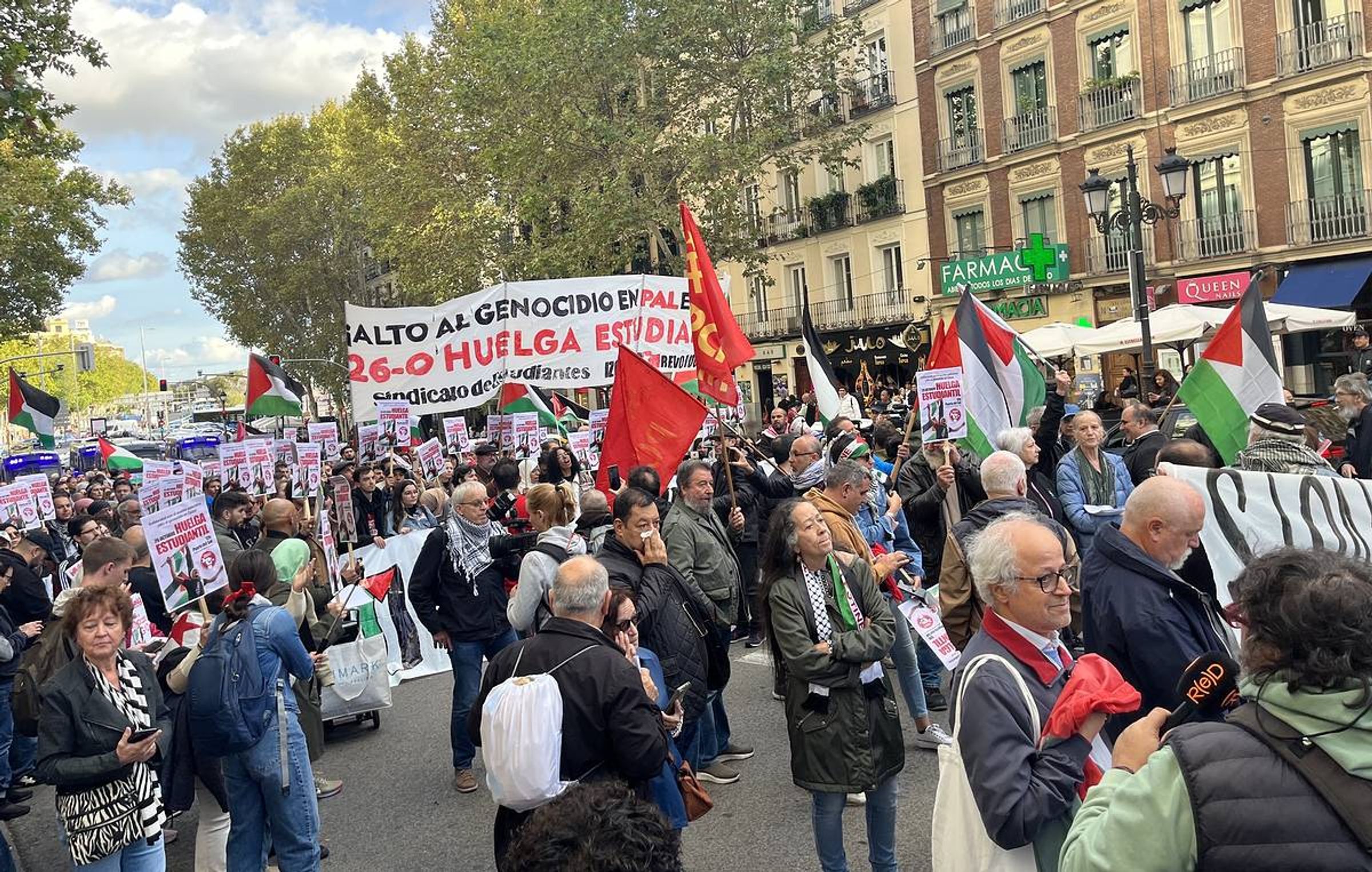 Protest in Support of Palestine, Madrid