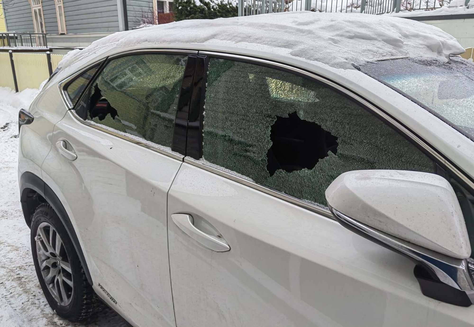 After discovering his family car had been vandalized, Shumakov grew suspicious. He read about the similar attack on the interior minister's vehicle.