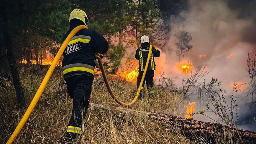 Firefighters from Ukraine's State Emergency Service working to contain a forest blaze.