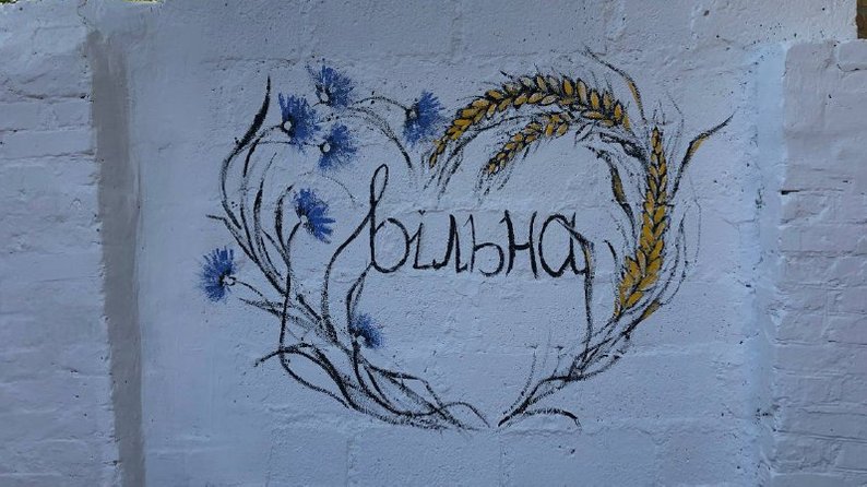Граффити в Бобринце