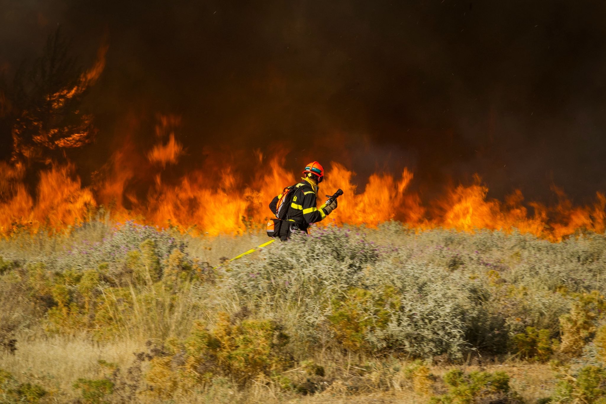Лесные пожары в Чехии 