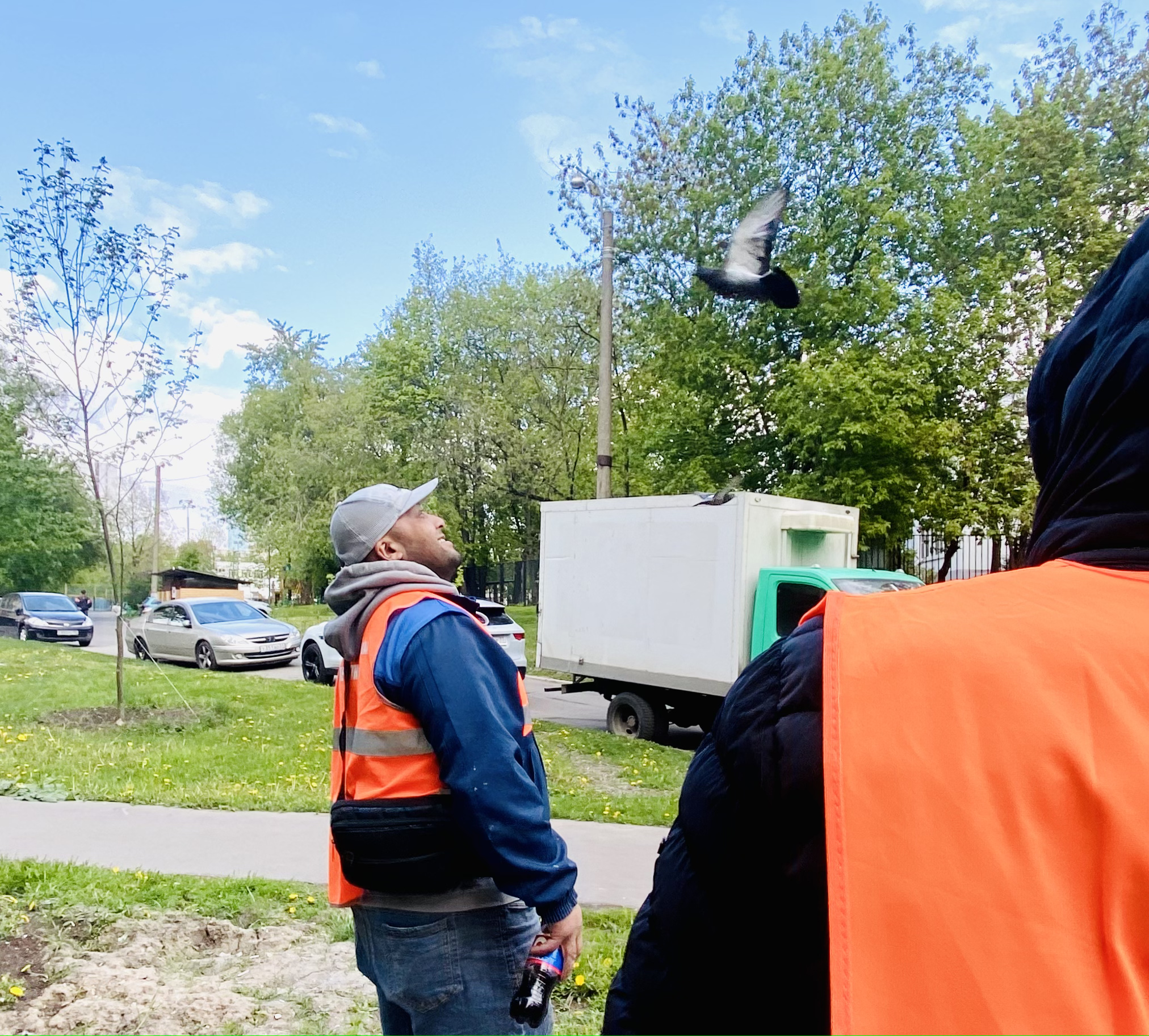 Иллюстрация к материалу