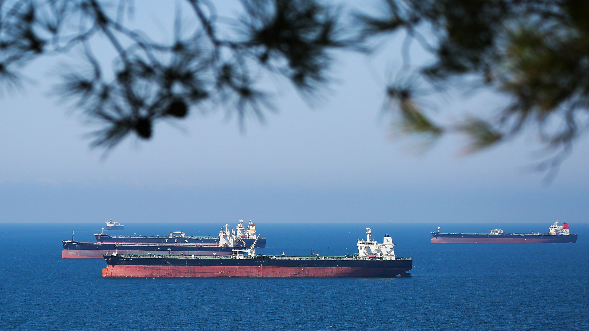 Фото: РИА «Новости»/Виталий Тимкив